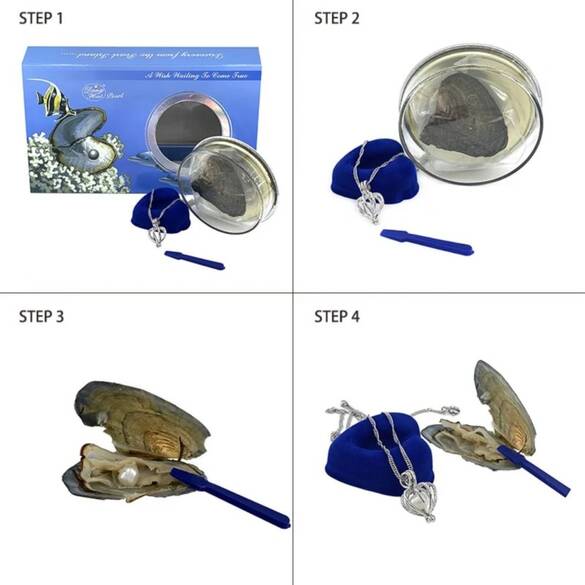 Toptan Konserve Kutulu İstiridye İnci Kolye 